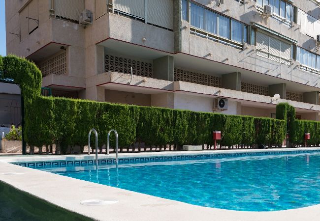 Apartment in Benidorm - Apartaments Mariscal 4 y 5 - Gestaltur  Apartment in Benidorm - Apartaments Mariscal 4 y 5 - Gestaltur