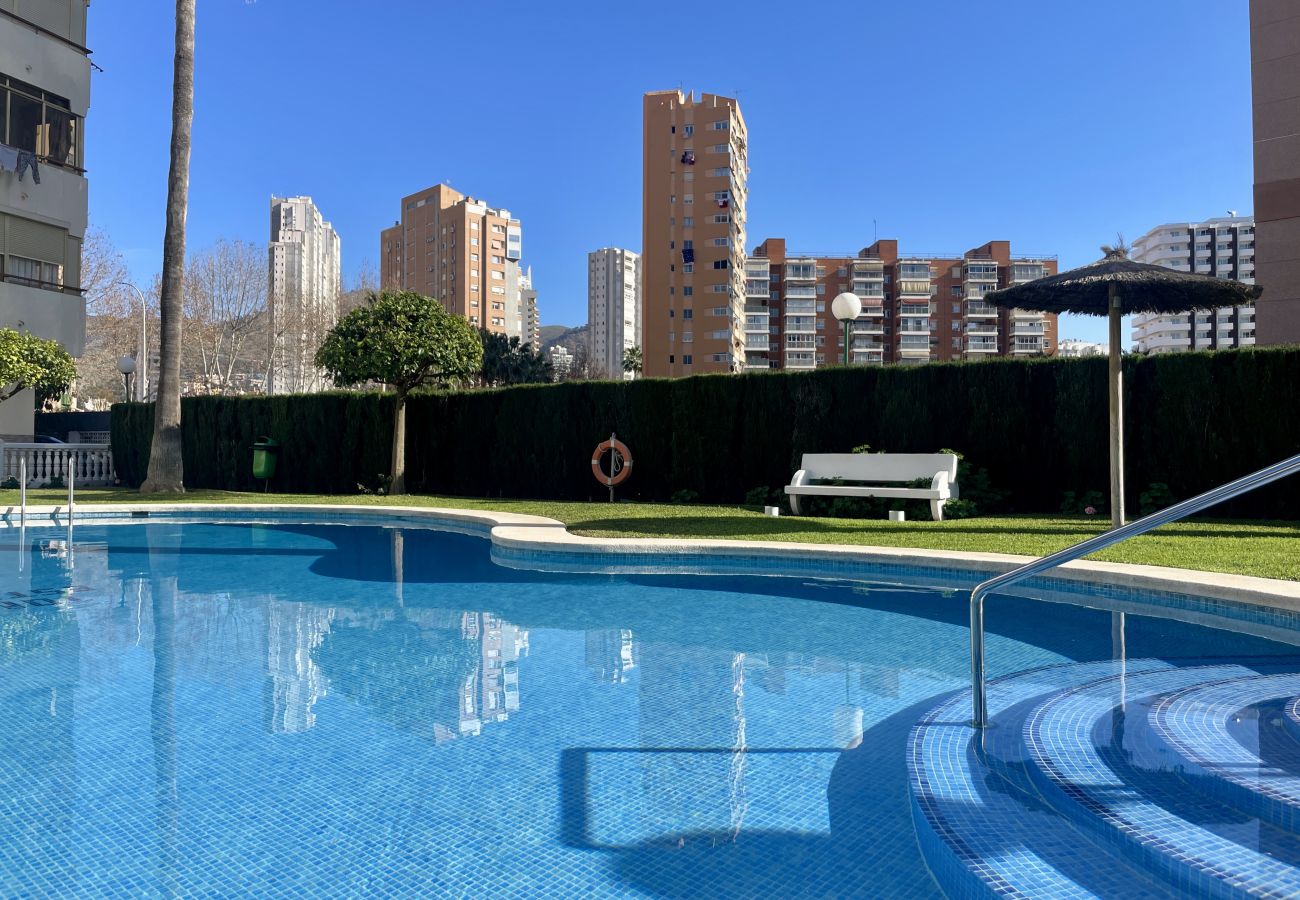 Apartment in Benidorm - Bright apartment at Torre Estoril 