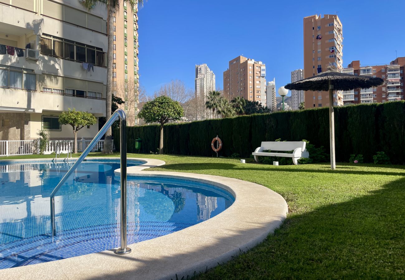 Apartment in Benidorm - Bright apartment at Torre Estoril 