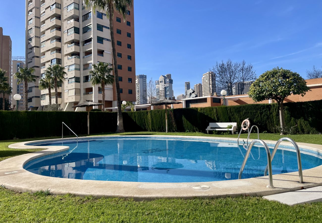 Apartment in Benidorm - Bright apartment at Torre Estoril 