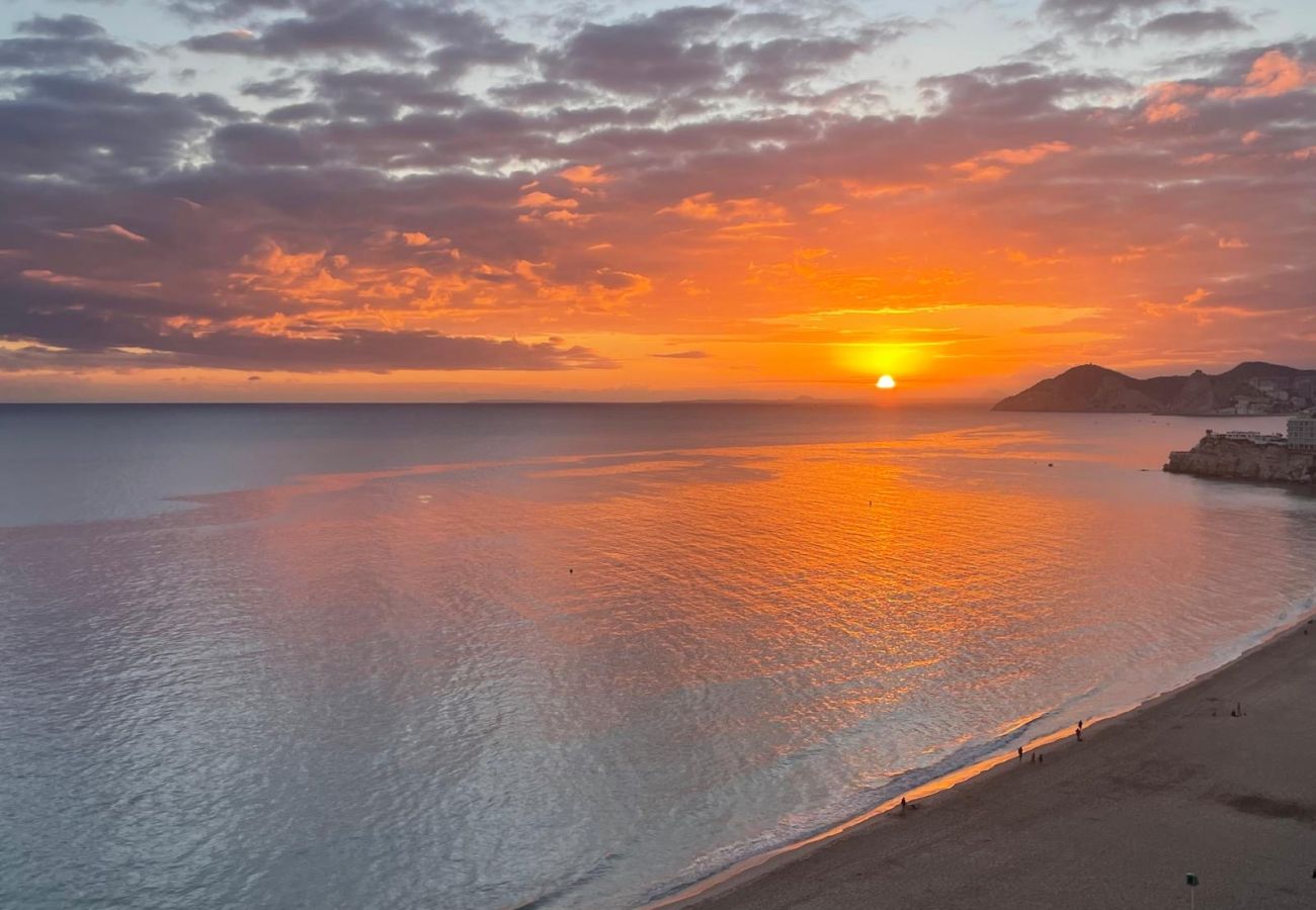 Studio in Benidorm - Beachfront studio in Benidorm