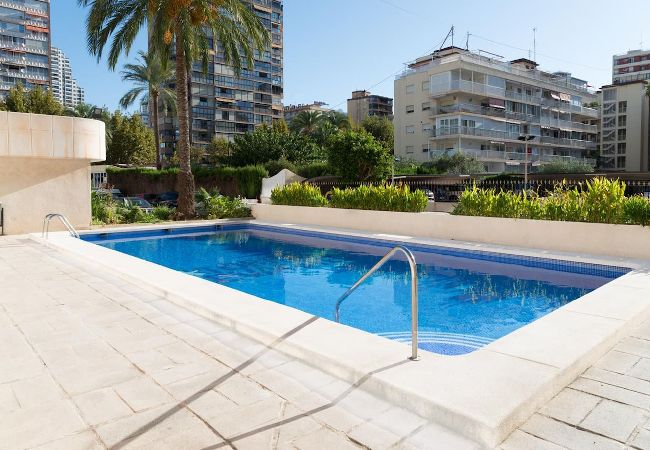 Apartment in Benidorm - Beachfront Torre Levante Apartment Apartment in Benidorm - Beachfront Torre Levante Apartment