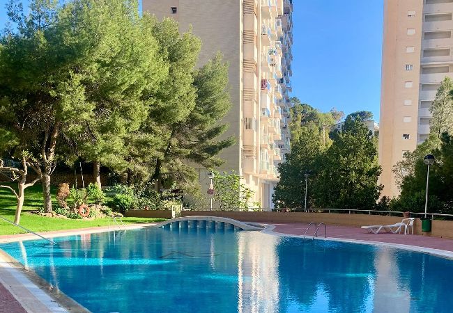 Apartment in Benidorm - Gemelos 15 26th floor with amazing sea view  Apartment in Benidorm - Gemelos 15 26th floor with amazing sea view