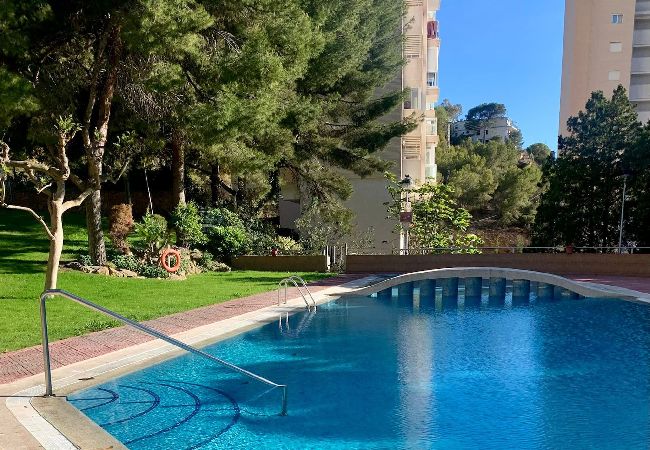 Apartment in Benidorm - Gemelos 15 26th floor with amazing sea view  Apartment in Benidorm - Gemelos 15 26th floor with amazing sea view