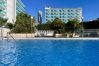 Apartment in Benidorm - Apartment Torre Domo with Sea view Apartment in Benidorm - Apartment Torre Domo with Sea view