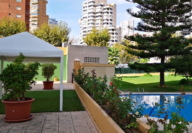 Apartment in Benidorm - La Pinta apartment with terrace and sea views  Apartment in Benidorm - La Pinta apartment with terrace and sea views