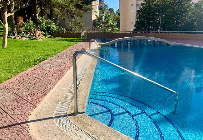 Apartment in Benidorm - Spacious and bright apartment at Gemelos 15 Apartment in Benidorm - Spacious and bright apartment at Gemelos 15