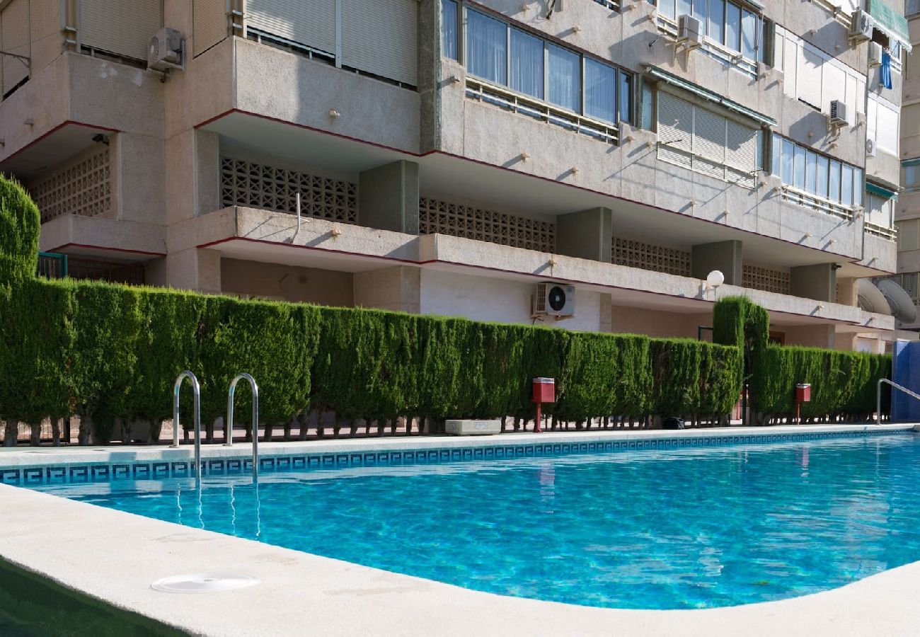 Apartment in Benidorm - Fully refurbished Mariscal 4 Apartment