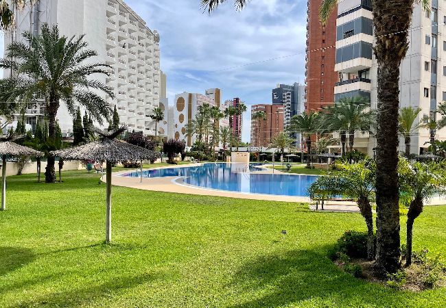 Apartment in Benidorm - Beautiful apartment with pool in Gemelos 26  Apartment in Benidorm - Beautiful apartment with pool in Gemelos 26