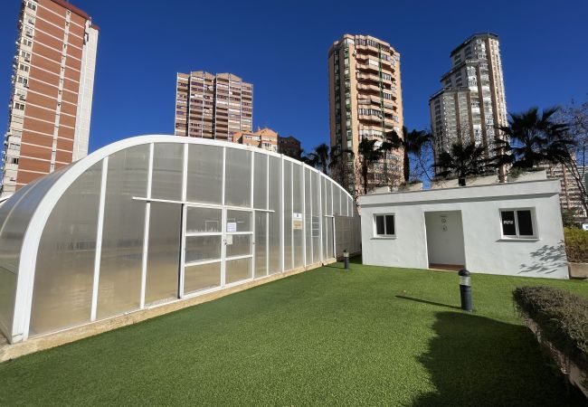 Apartment in Benidorm - Beautiful apartment with pool in Gemelos 26  Apartment in Benidorm - Beautiful apartment with pool in Gemelos 26