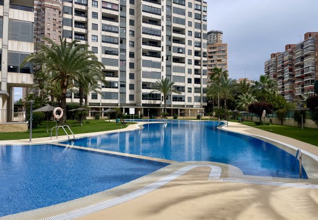 Apartment in Benidorm - Beautiful apartment with pools in Gemelos 26 