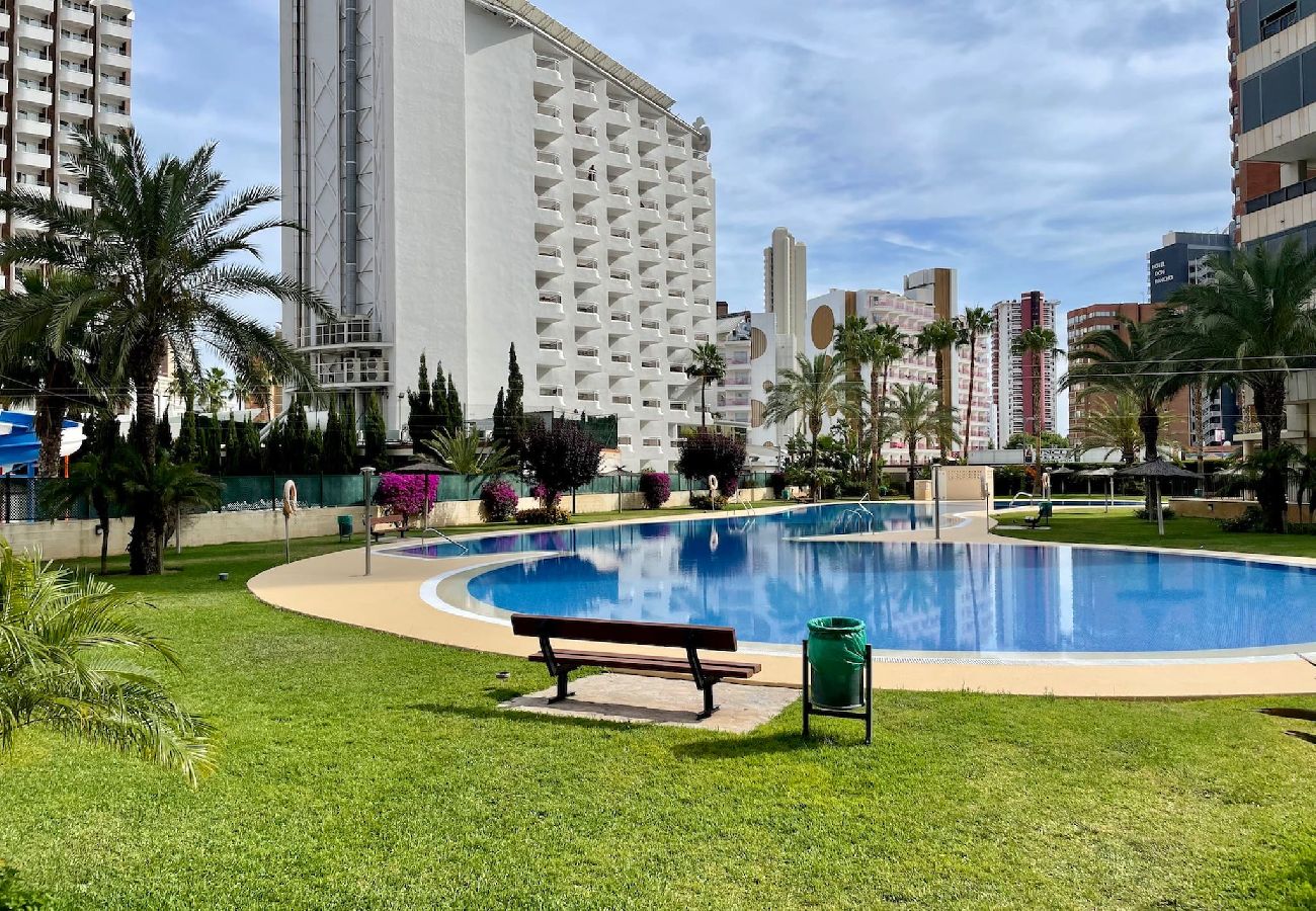 Apartment in Benidorm - Beautiful apartment with pool in Gemelos 26 