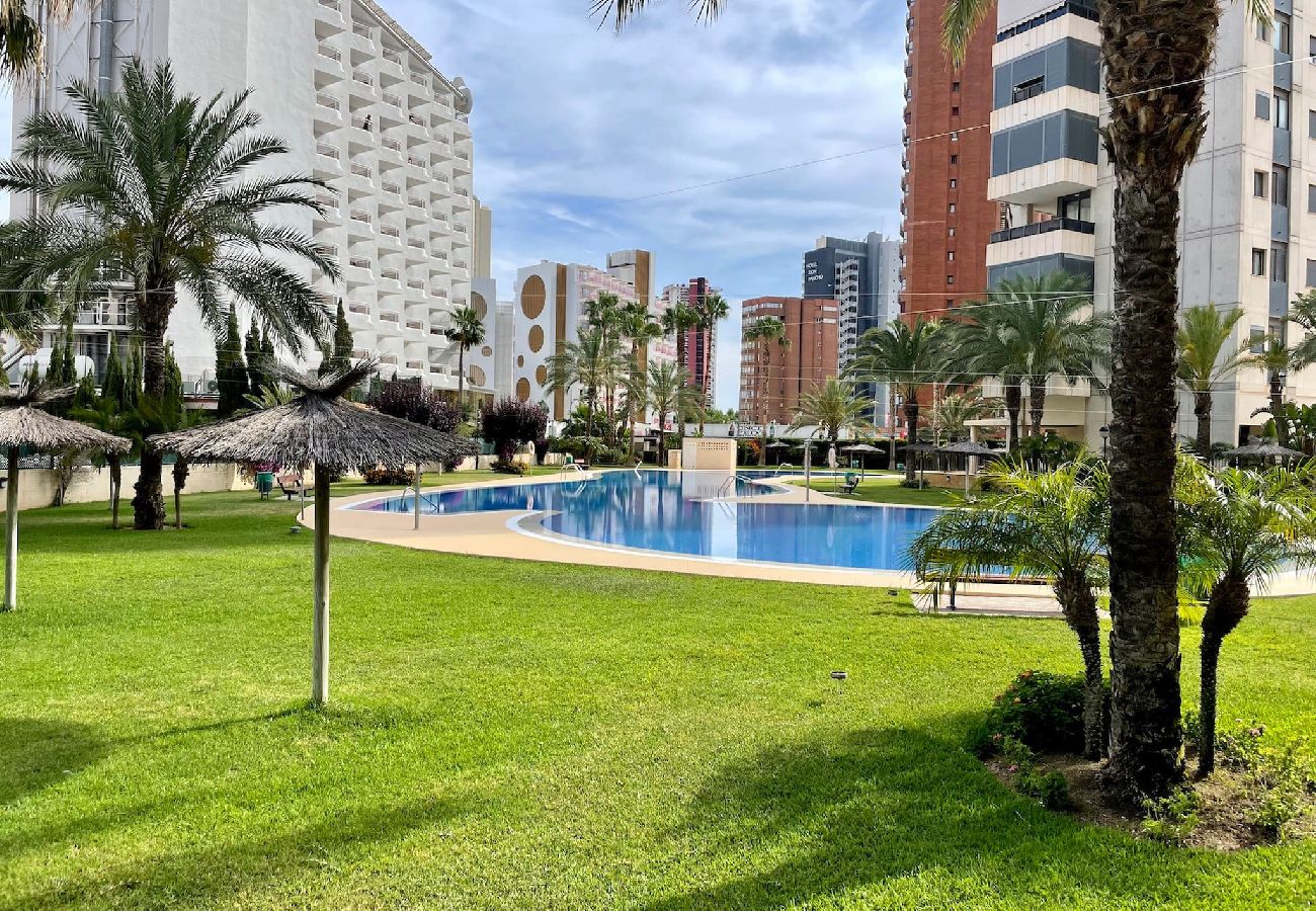 Apartment in Benidorm - Beautiful apartment with pool in Gemelos 26 