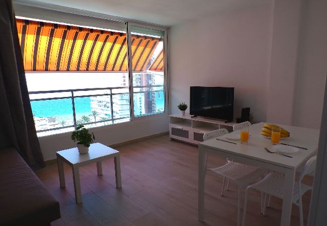 Apartment in Benidorm - Fully refurbished Ducado apartment Apartment in Benidorm - Fully refurbished Ducado apartment