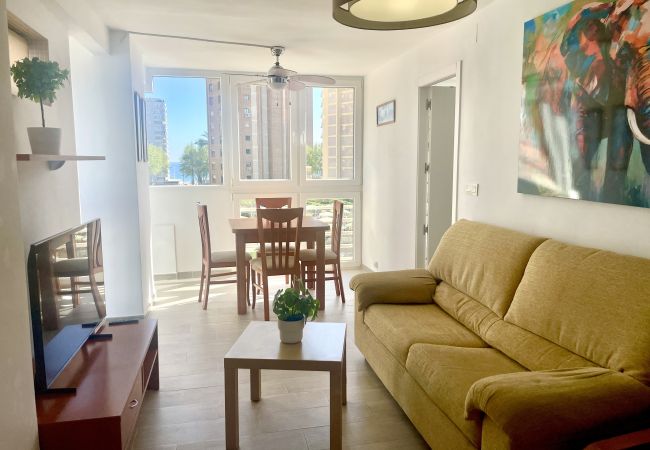 Apartment in Benidorm - Refurbished apartment at Provima Mallorca