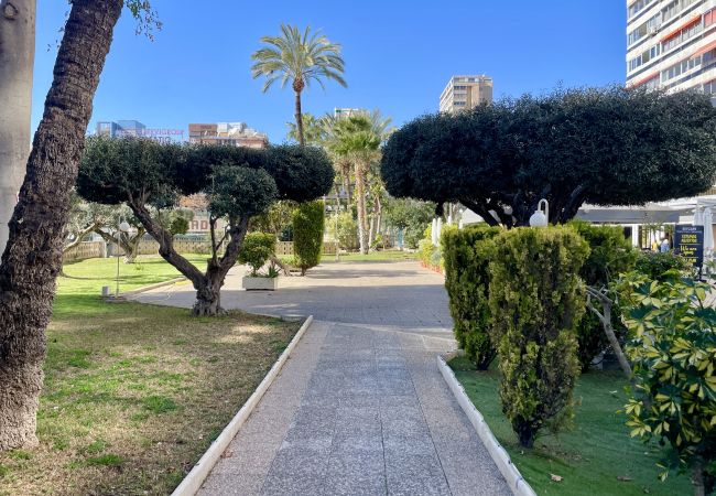 Apartment in Benidorm - Relax and Comfort: Refurbished Apartment with Swimming Pool, close to the beach Apartment in Benidorm - Relax and Comfort: Refurbished Apartment with Swimming Pool, close to the beach