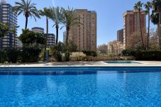Apartment in Benidorm - Relax and Comfort: Refurbished Apartment with Swimming Pool, close to the beach