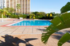 Apartment in Benidorm - Cosy apartment in Paraíso Building, Benidorm