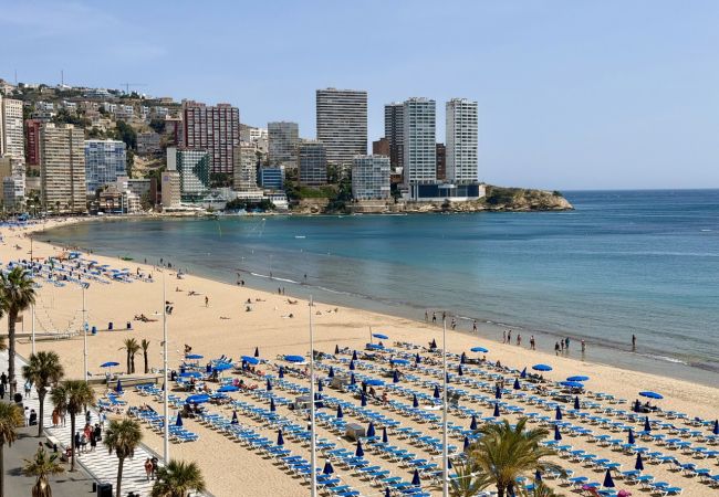 Apartment in Benidorm - Beachfront Apartment for 6,  3 Bathrooms, Levante Beach